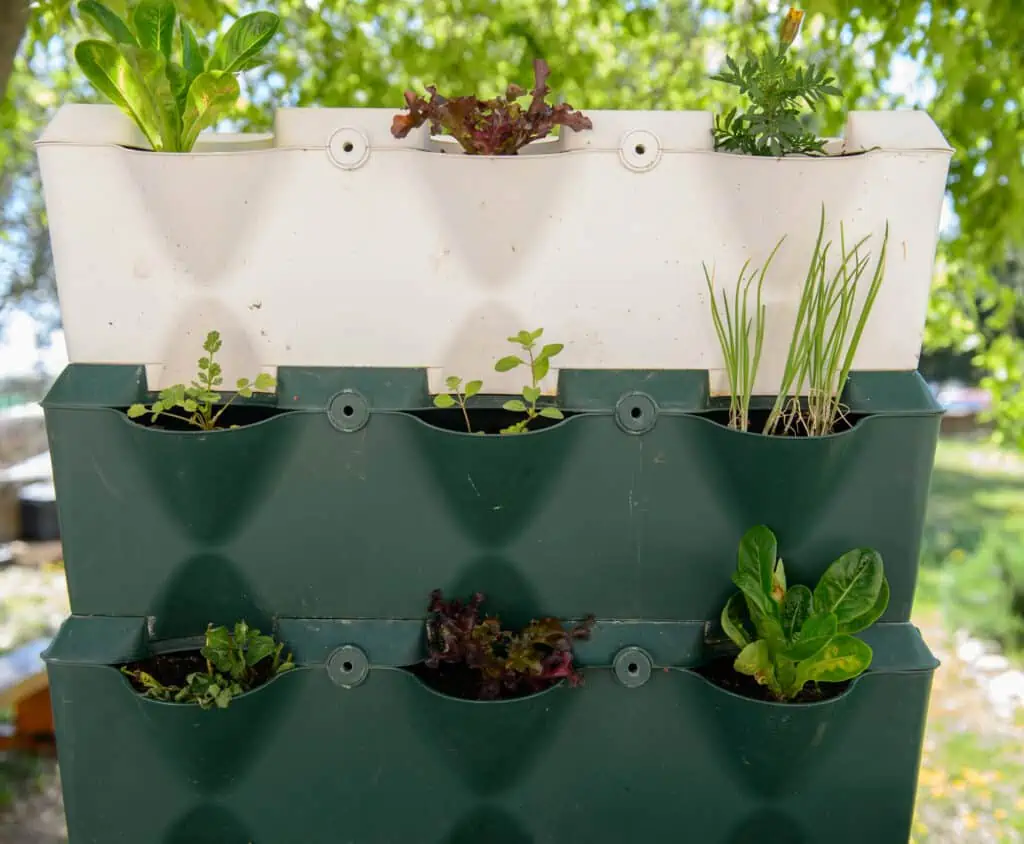 green and white vertical garden with plants on it